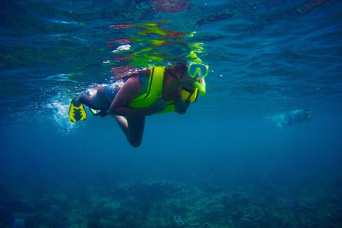 Ultimate Beginner Snorkeling Tour - Why This Rincón Tour Works for First-Time Snorkelers