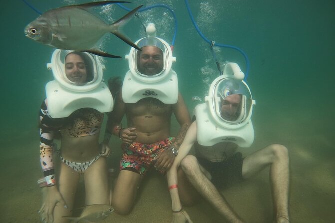 Underwater Sea Trek in San Juan: Explore Beneath the Waves - Walking the seafloor among fish and small sea life