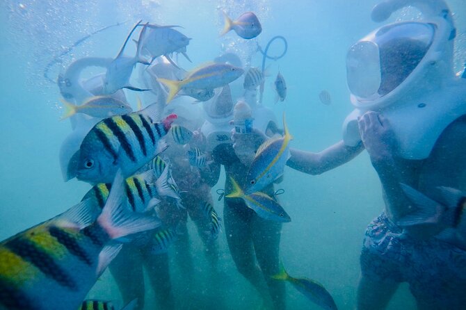 Underwater Sea Trek in San Juan: Explore Beneath the Waves - Returning to shore and using the hotel amenities