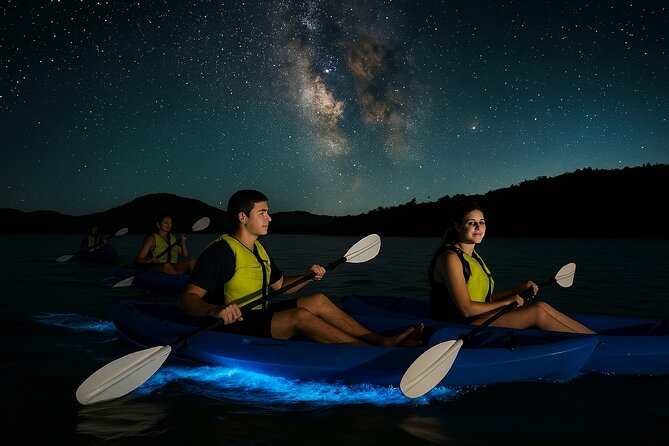 Unforgettable One Day Bioluminescent Kayak Adventure in Vieques - Key things to know before you go