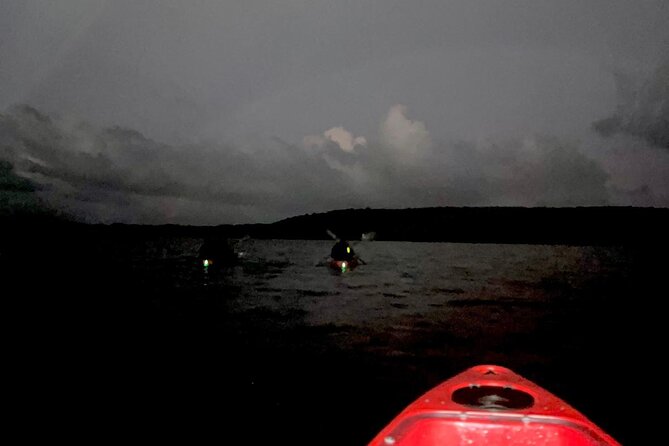 Unforgettable One Day Bioluminescent Kayak Adventure in Vieques - What the one-and-a-half-hour outing feels like
