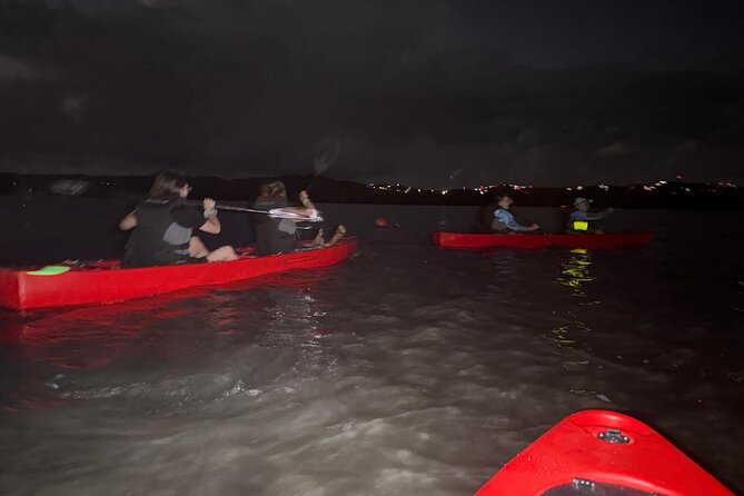 Unforgettable One Day Bioluminescent Kayak Adventure in Vieques - Guides, safety, and the family factor