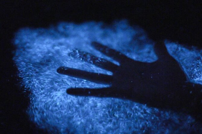 Unforgettable One Day Bioluminescent Kayak Adventure in Vieques - Cancellation, weather, and rebooking