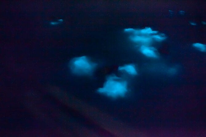 Unforgettable One Day Bioluminescent Kayak Adventure in Vieques - Arriving in Esperanza and finding the meeting point