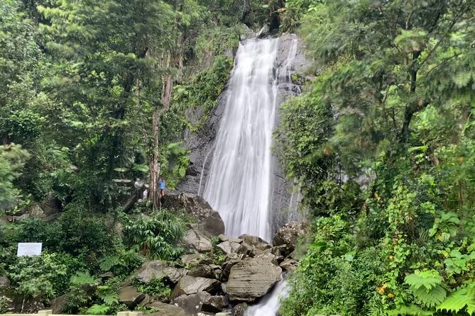 USDA El Yunque National Forest and Luquillo Beach Tour - From San Juan to El Yunque in an air-conditioned van