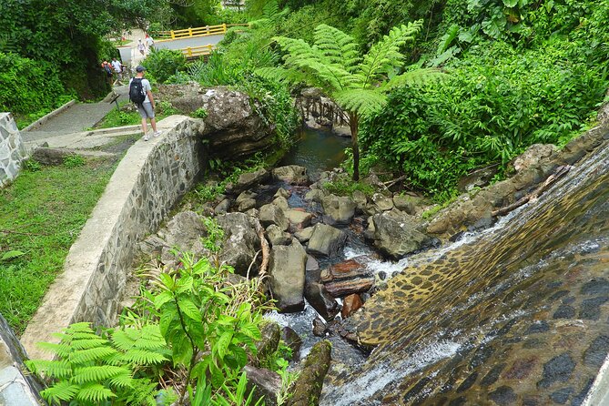 USDA El Yunque National Forest and Luquillo Beach Tour - What the $79 price really covers