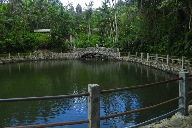 USDA El Yunque National Forest and Luquillo Beach Tour - How to prepare for the six-hour outing