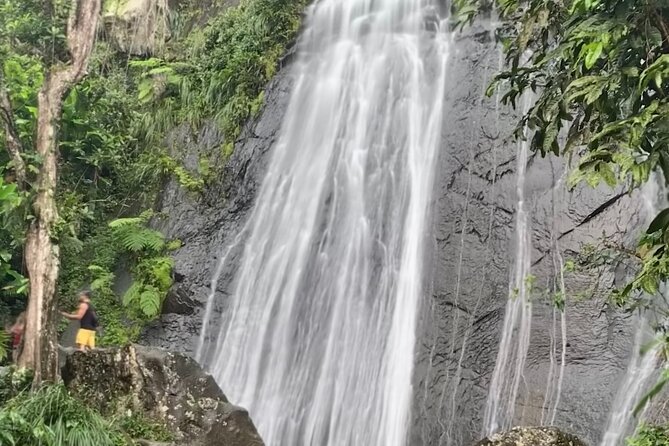 USDA El Yunque National Forest and Luquillo Beach Tour - La Coca Falls: a powerful first glimpse of the forest