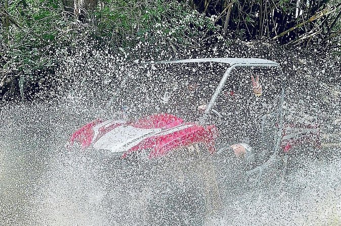 UTV adventure in Naguabo Puerto Rico 50 minutes trip 80 acres - The views toward El Yunque and the sea