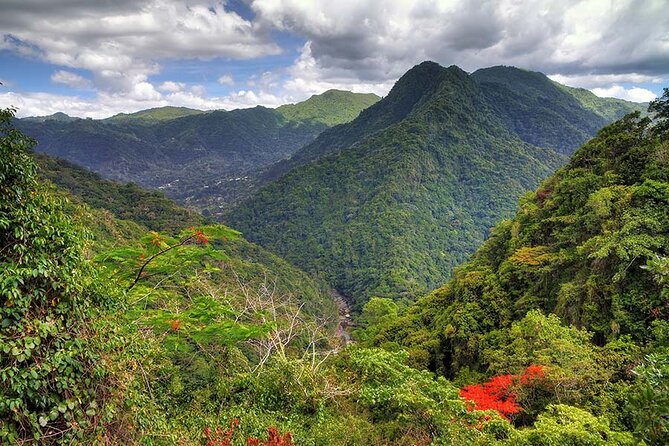 UTV and Can-Am Sightseeing Tours in Puerto Rico - El Yunque views without a full rainforest visit
