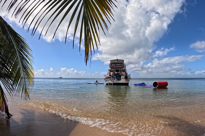 Vieques All-Inclusive: Swim with Turtles & Enjoy Pristine Beaches - The five details that matter most