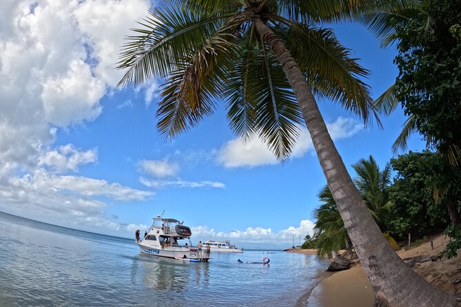 Vieques All-Inclusive: Swim with Turtles & Enjoy Pristine Beaches - Leaving Fajardo at 7:45 a.m.
