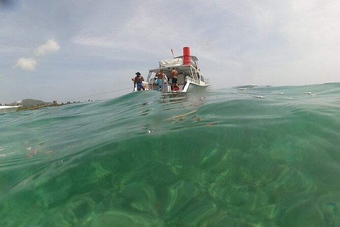 Vieques All-Inclusive: Swim with Turtles & Enjoy Pristine Beaches - A deli lunch that earns its place