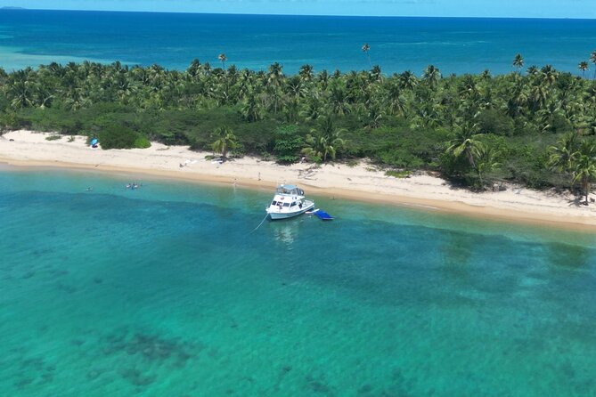 Vieques All-Inclusive: Swim with Turtles & Enjoy Pristine Beaches - Tropical drinks and unhurried beach time