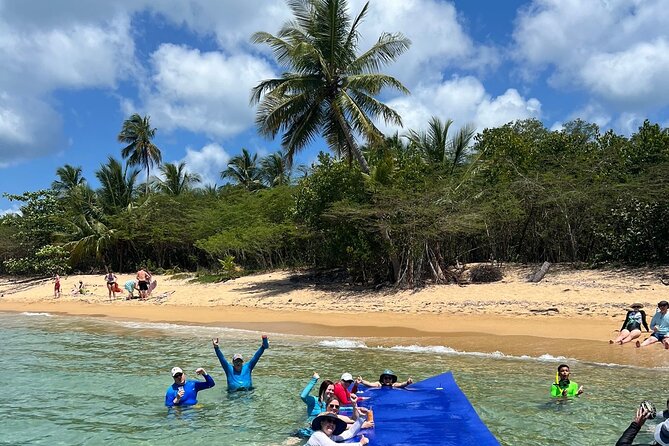 Vieques All-Inclusive: Swim with Turtles & Enjoy Pristine Beaches - Is $185 a good value?