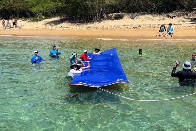 Vieques All-Inclusive: Swim with Turtles & Enjoy Pristine Beaches - Who should book this boat day?