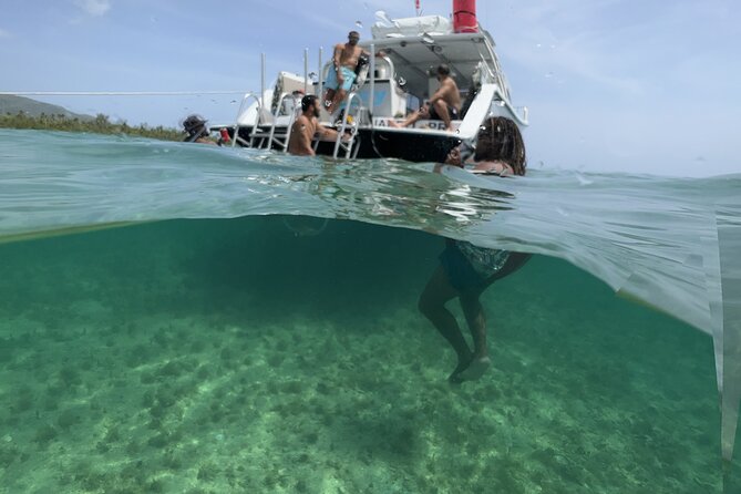 Vieques All-Inclusive: Swim with Turtles & Enjoy Pristine Beaches - Cancellation and weather details
