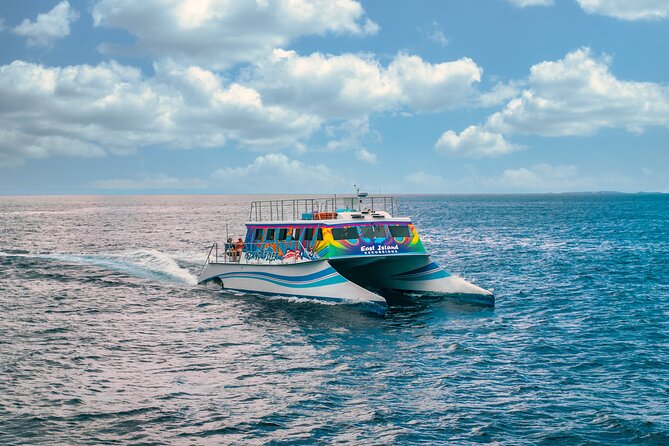 Vieques: Beach and Snorkeling Tour by Catamaran from Fajardo - Leaving Marina Puerto Del Rey at 9:30 a.m.