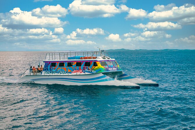 Vieques: Beach and Snorkeling Tour by Catamaran from Fajardo - Four hours for swimming, beachcombing, and doing very little