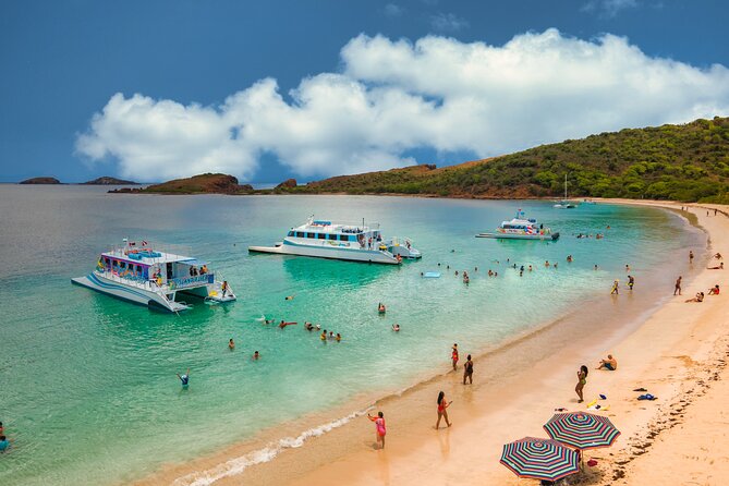 Vieques: Beach and Snorkeling Tour by Catamaran from Fajardo - Who will enjoy this Vieques catamaran trip?