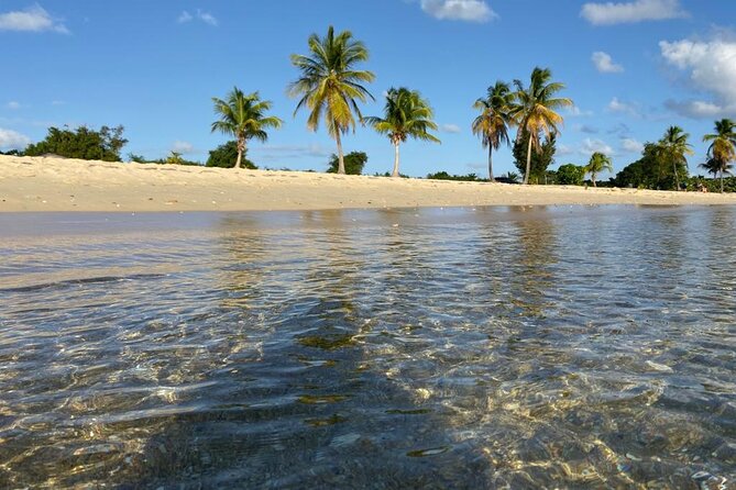 Vieques Bio Bay Tour and Beach Day Trip from San Juan by Ferry - Why Mosquito Bay is worth crossing the water for