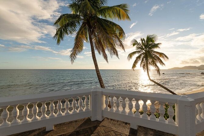 Vieques Bio Bay Tour and Beach Day Trip from San Juan by Ferry - Paddling through the blue glow