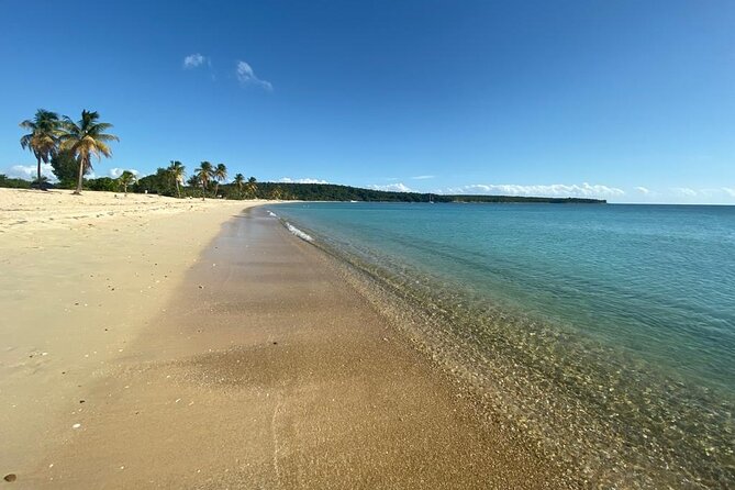 Vieques Bio Bay Tour and Beach Day Trip from San Juan by Ferry - The return ferry and late-night arrival