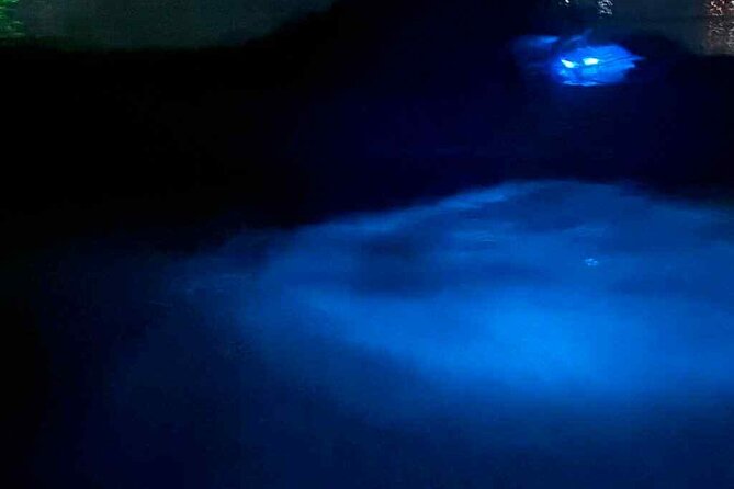 Vieques island Biobay Kayaking Tour - Weather, moonlight, and what you may actually see