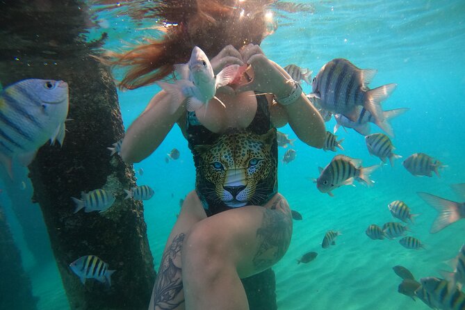 VIP San Juan: Snorkeling Tour with Turtles with Free Videos - Guides who make the difference