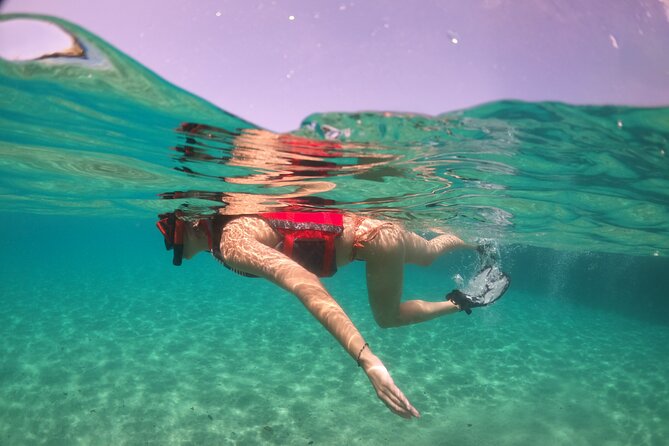 VIP San Juan: Snorkeling Tour with Turtles with Free Videos - Is $80 a fair price?