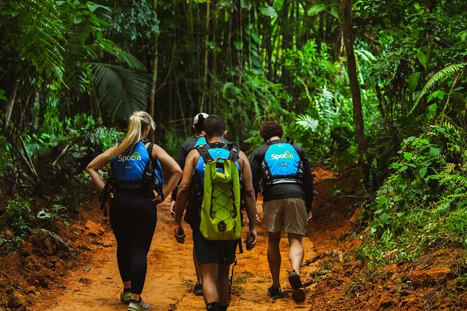 VIP Small Group El Yunque Rainforest Adventure - Why this El Yunque day feels different