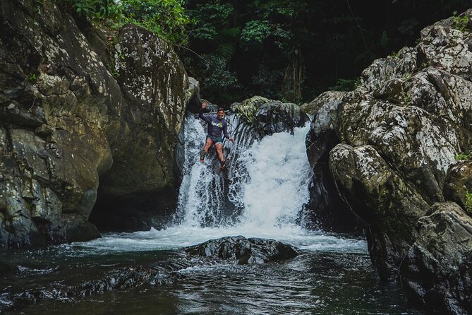 VIP Small Group El Yunque Rainforest Adventure - Two waterfalls, natural pools, and a river waterslide