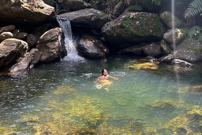 Waterfall Hike in Remote Area of El Yunque Rainforest; San Juan - Five things to know before you book