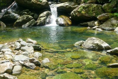 Waterfall Hike in Remote Area of El Yunque Rainforest; San Juan