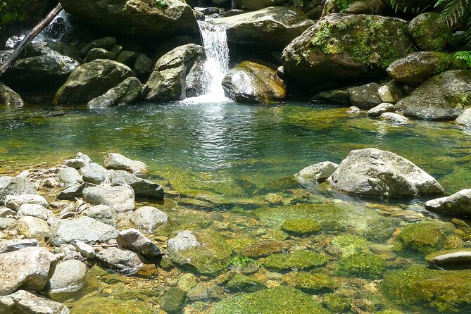 Waterfall Hike in Remote Area of El Yunque Rainforest; San Juan - A quieter side of El Yunque