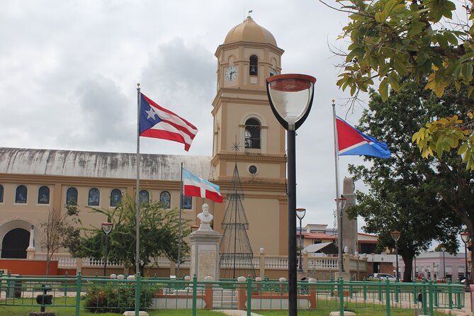 West Side Experience Puerto Rico Day Tour - What the guide adds to the price