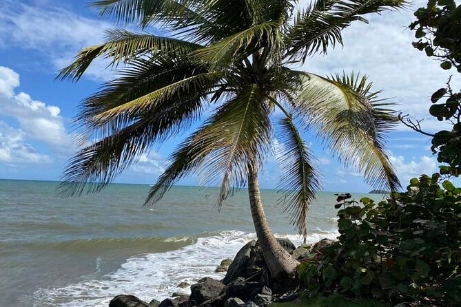 Western Island Full Day Tour - La Poza del Obispo’s protected water