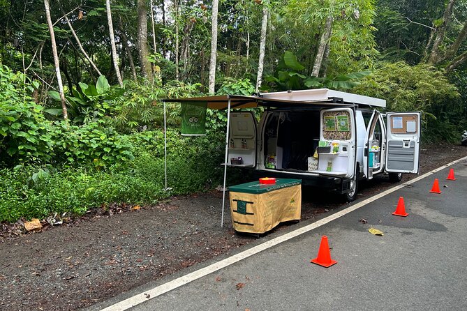Wild & Scenic Rainforest Nature Walk (Day Time River & Swim) - What Your Guide Adds Along the Way
