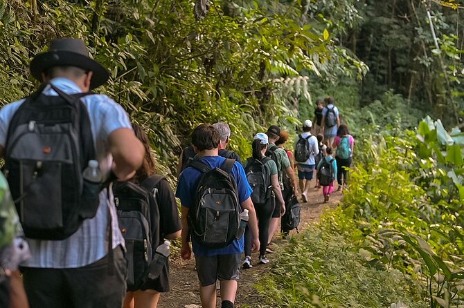 Wild & Scenic Rainforest Nature Walk (Day Time River & Swim) - A Morning Schedule That Leaves Room for More