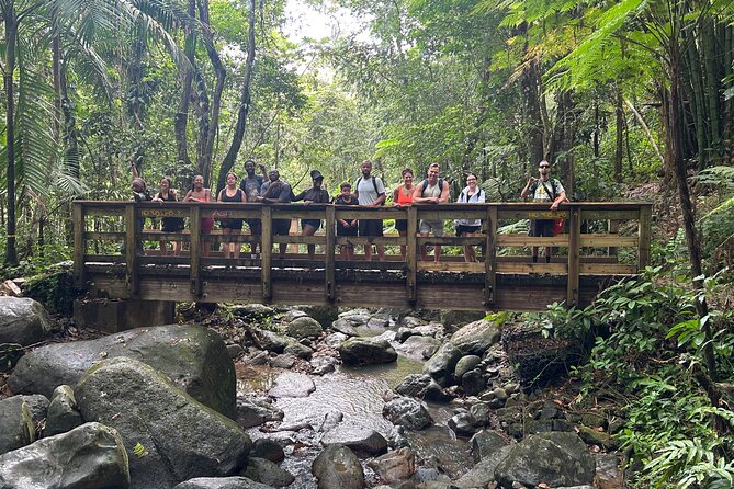 Wild & Scenic Rainforest Nature Walk (Day Time River & Swim) - Who Will Enjoy This Rainforest Experience Most