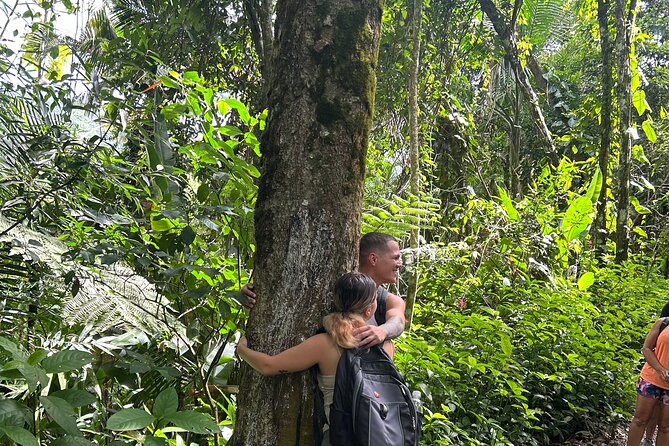 Wild & Scenic Rainforest Nature Walk (Day Time River & Swim) - What to Pack and Wear