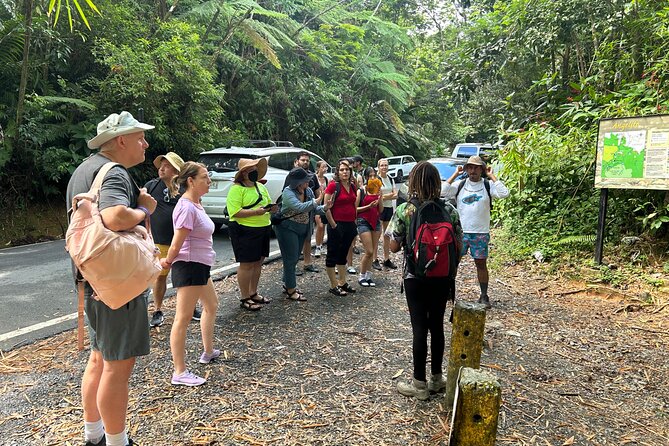 Wild & Scenic Rainforest Nature Walk (Day Time River & Swim) - Weather, Cancellation, and Practical Limits