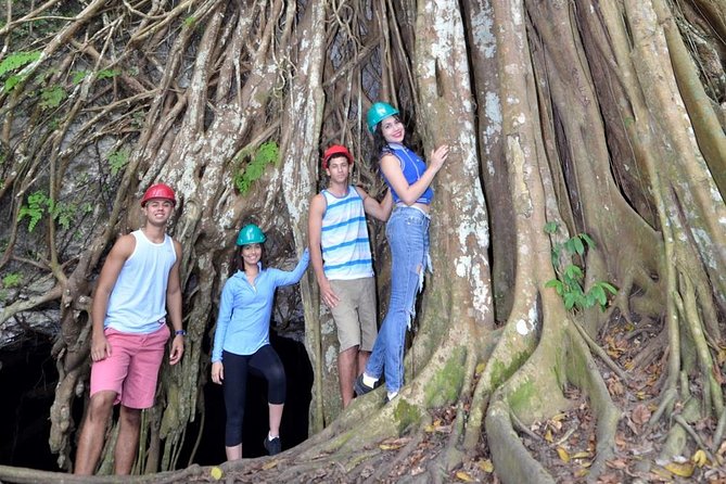 Window Cave Walking Tour from San Juan - Why Cueva Ventana makes a good half-day trip