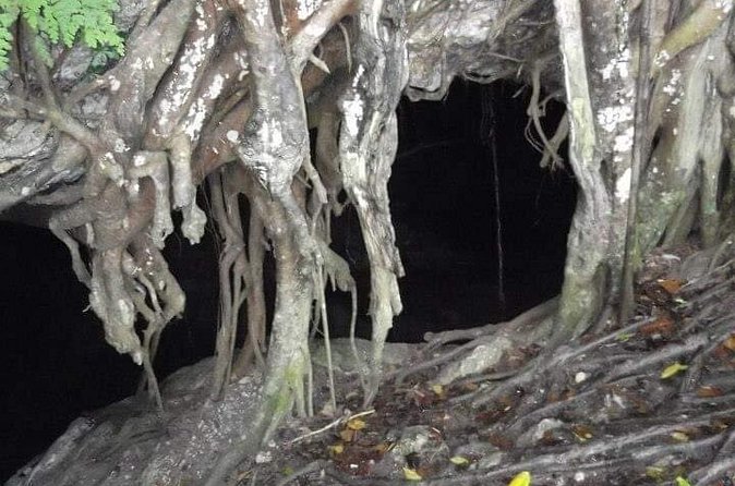 Window Cave Walking Tour from San Juan - What the $127 price really covers