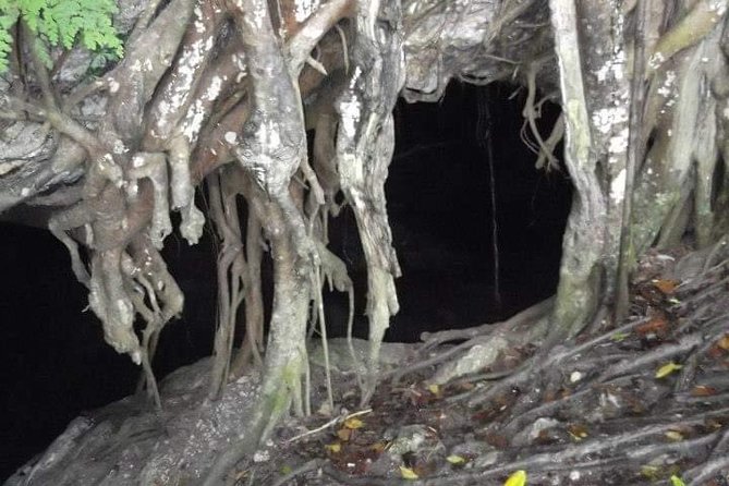 Window Cave Walking Tour from San Juan - Who should book this cave walk?