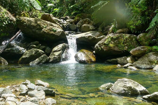 Yunque & Piñones Tour Hike Eat & Adventure with a Local; San Juan - Key points to know before you book