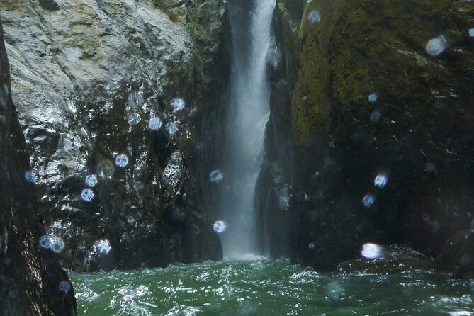 Yunque & Piñones Tour Hike Eat & Adventure with a Local; San Juan - Piñones: beach time followed by family cooking