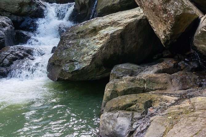 Yunque & Piñones Tour Hike Eat & Adventure with a Local; San Juan - What to bring for a better day
