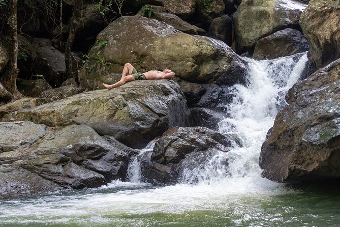 Yunque & Piñones Tour Hike Eat & Adventure with a Local; San Juan - El Yunque: forest water without the usual tourist stops