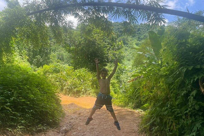 Yunque Rainforest Tour in Puerto Rico - Why the guide can make or break the day